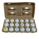(18) Miscellaneous Assorted Mixed Brands White Golf Balls