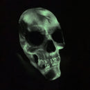 Easter Unlimited Glow In The Dark Rubber 10" Skeleton Skull Halloween Prop