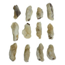 Natural Dog Chew Treat Rabbit Feet w/ Hair 12 Pack