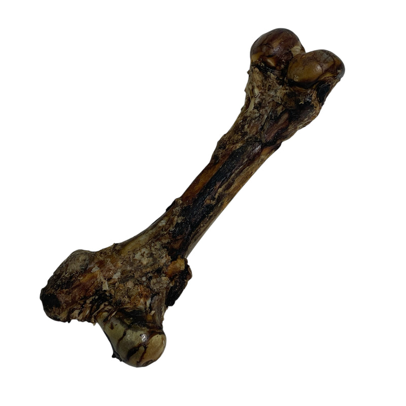 12"-15" Natural Dog Chew Treat Cow Beef Meaty Dino Femur Bone