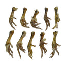 (10) Natural Dog Chew Treat Chicken Feet