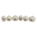 (6) Ellen DeGeneres ED On Air "THANKS" White Ceramic 5”Pumpkins Set