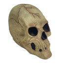 Easter Unlimited Glow In The Dark Rubber 10" Skeleton Skull Halloween Prop