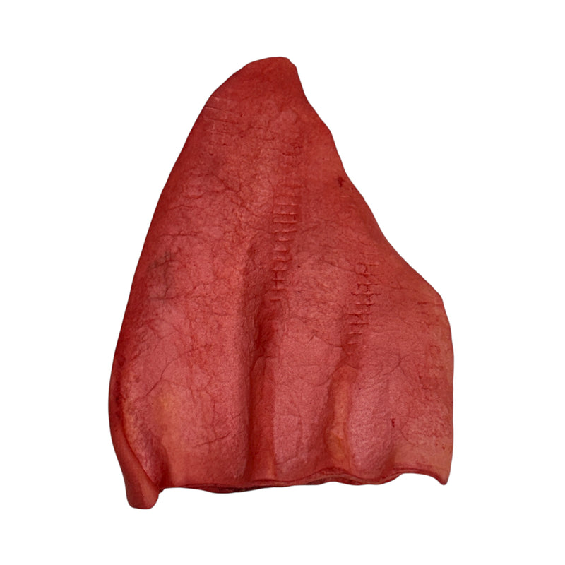 Natural Dog Chew Treat Beef Cow Ear (Various Flavors)