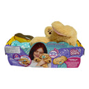 Little Live Pets ZZZ Cozy Dozys Charlie The Puppy Dog Interactive 11" Plush Toy