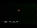 Big Fireworks When Pigs Fly 5 Pack Sky Rockets