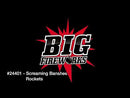 Big Fireworks Screaming Banshee 6 Pack Sky Rockets
