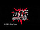 Big Fireworks Dog Pound 15 Shot 200 Gram Aerial Repeaters Box