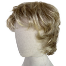 TWC Fashion Club Designs Blair Average Golden Brown Wig