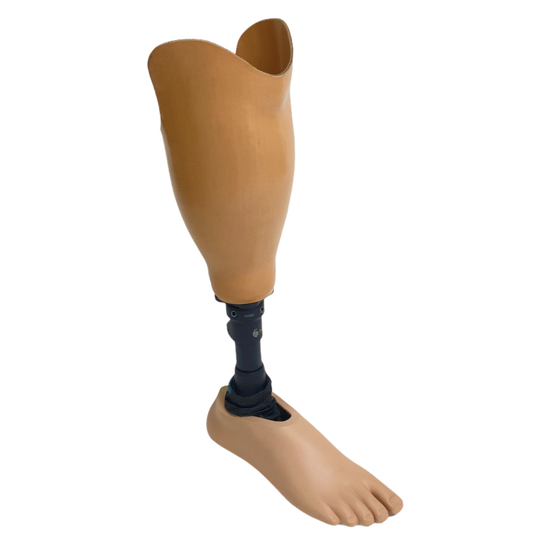Trulife Below The Knee Right Foot Leg Prosthetic 26R