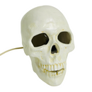 RIP 1988 Vintage Illuminated Light Up Ceramic Skeleton Head Skull Lamp