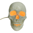 RIP 1988 Vintage Illuminated Light Up Ceramic Skeleton Head Skull Lamp