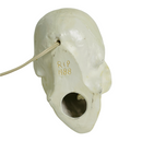 RIP 1988 Vintage Illuminated Light Up Ceramic Skeleton Head Skull Lamp