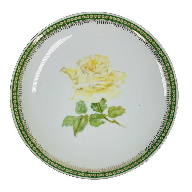 (4) Josephine Bavaria Handpainted Marechal Niel Rose Flower 7 3/4" Salad Plates